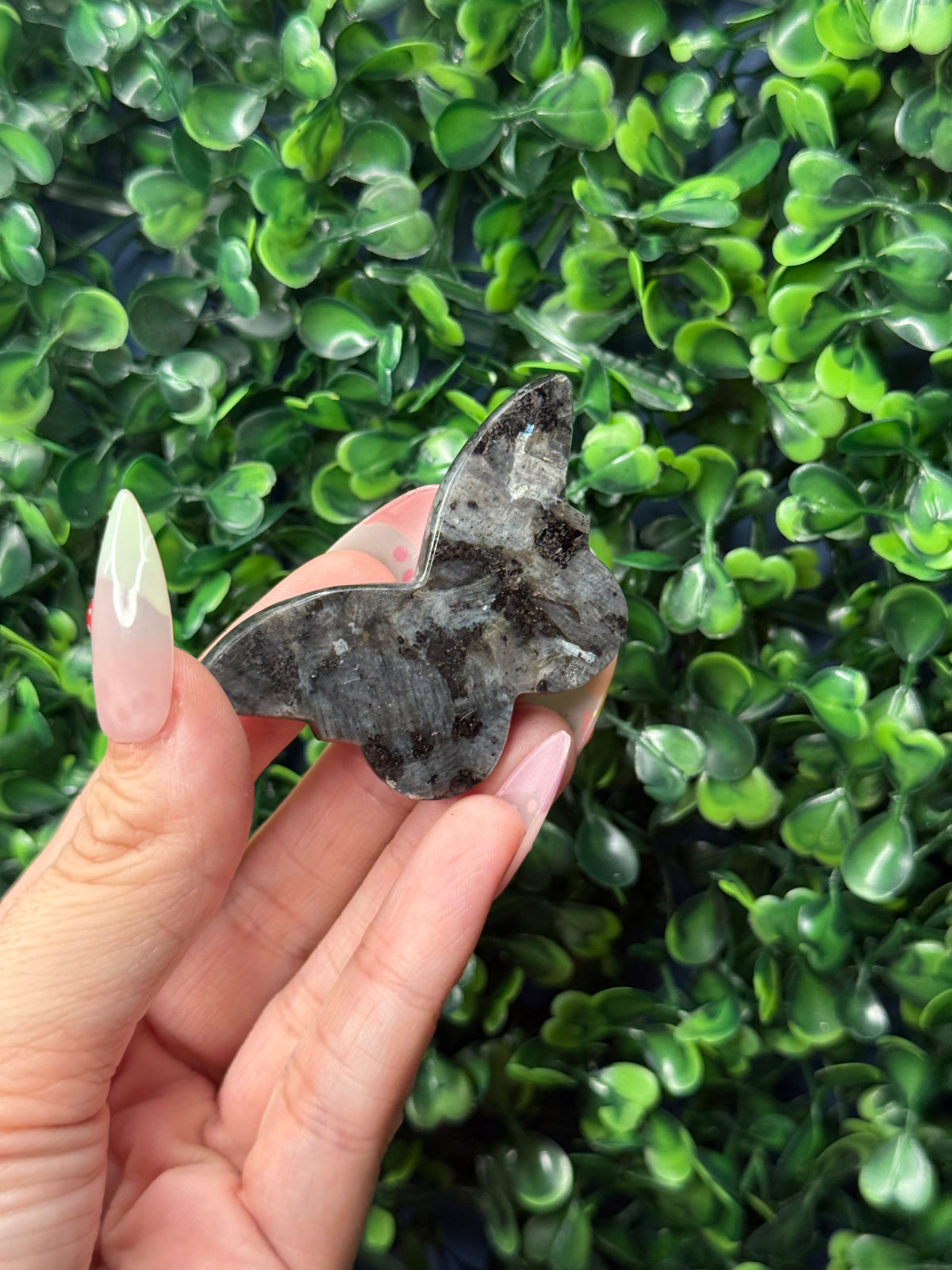 Larvikite Mini Butterfly Crystal Carvings - Pakistan