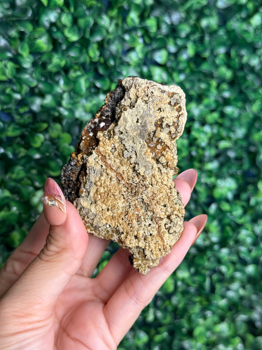 Andradite garnet from Nusa Tenggara Timur - Indonesia - H