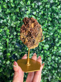 Andradite garnet from Nusa Tenggara Timur - Indonesia - C