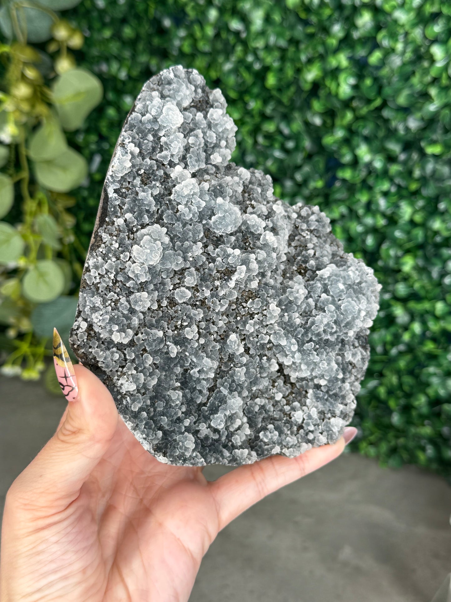 Black Chalcedony Crystal Specimen P
