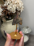 Pyritized Petrified Wood from Indonesia - J