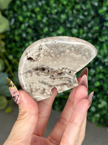 Chocolate Ocean Jasper Bear Crystal Carving