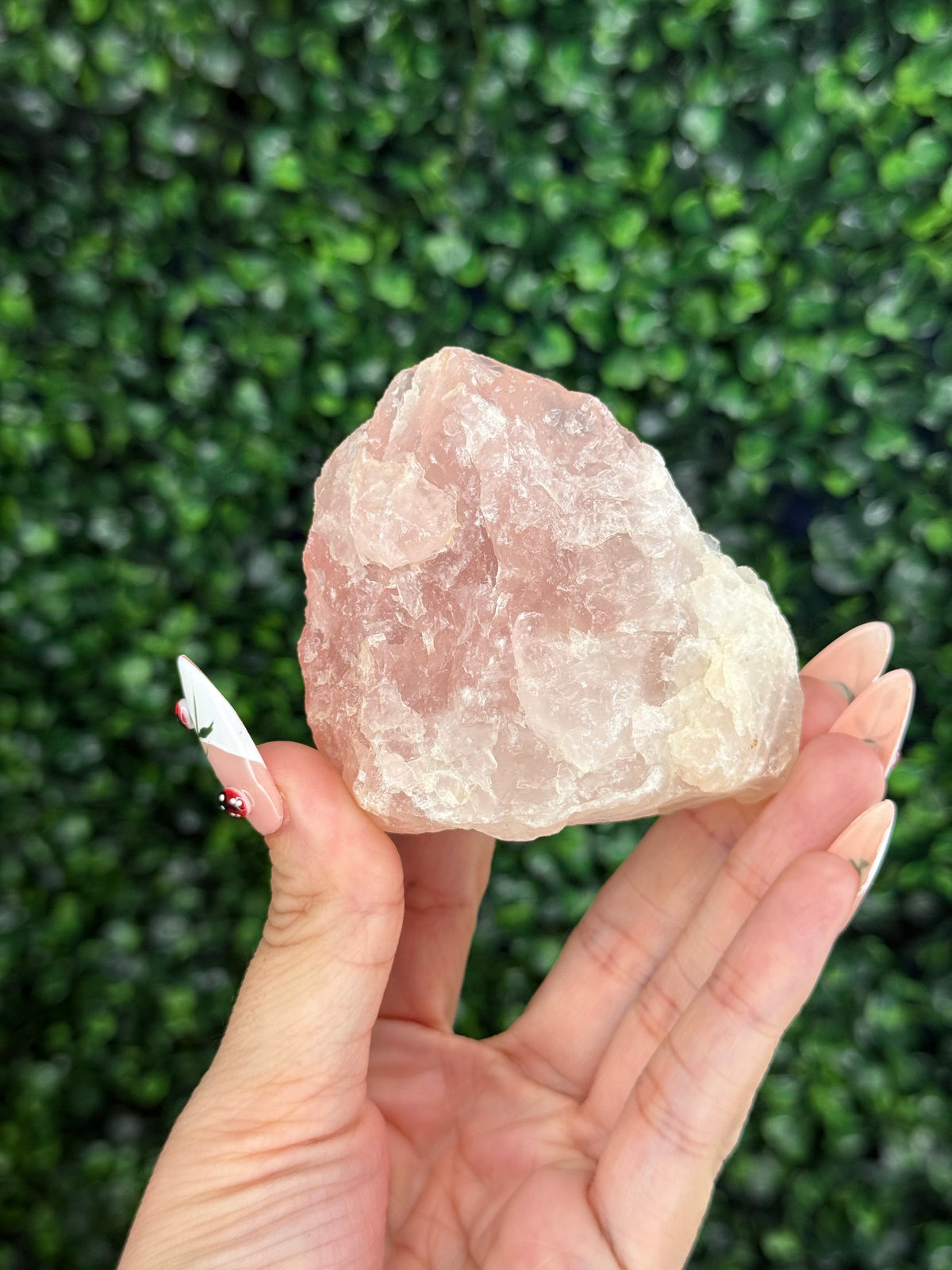 Raw Rose Quartz Crystal From Colorado USA F