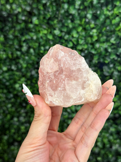 Raw Rose Quartz Crystal From Colorado USA F