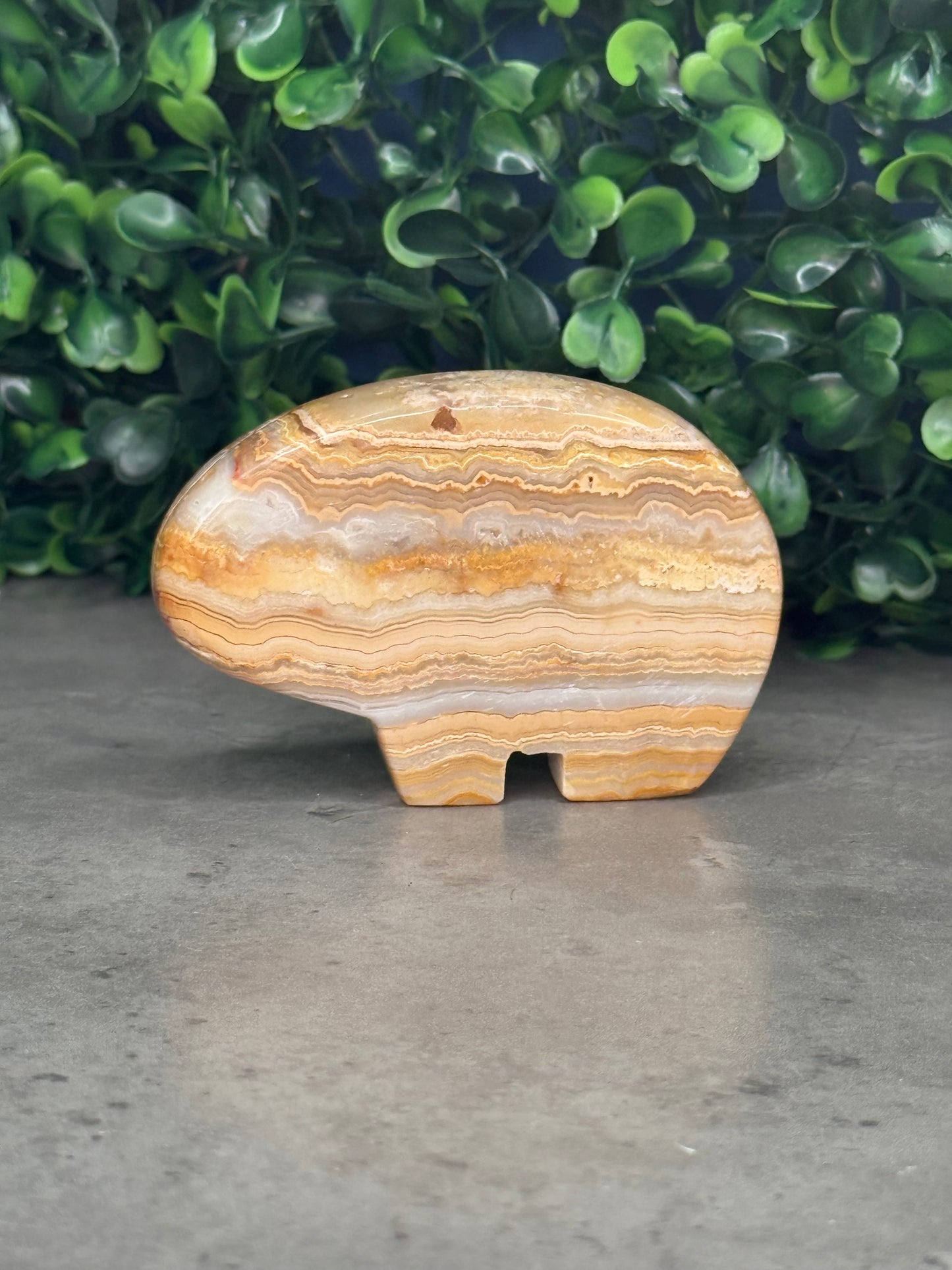 Yellow Crazy Lace Agate Bear Crystal Carvings - Indonesia