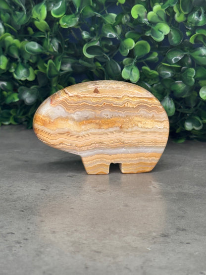 Yellow Crazy Lace Agate Bear Crystal Carvings - Indonesia