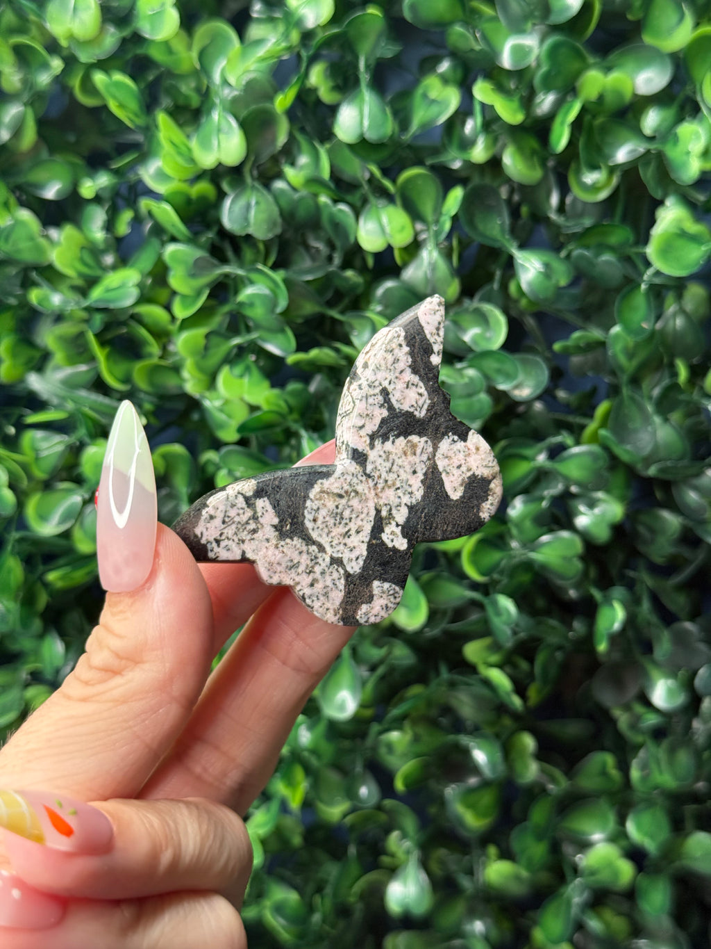 Snowflake Obsidian Mini Butterfly Crystal Carvings - Pakistan