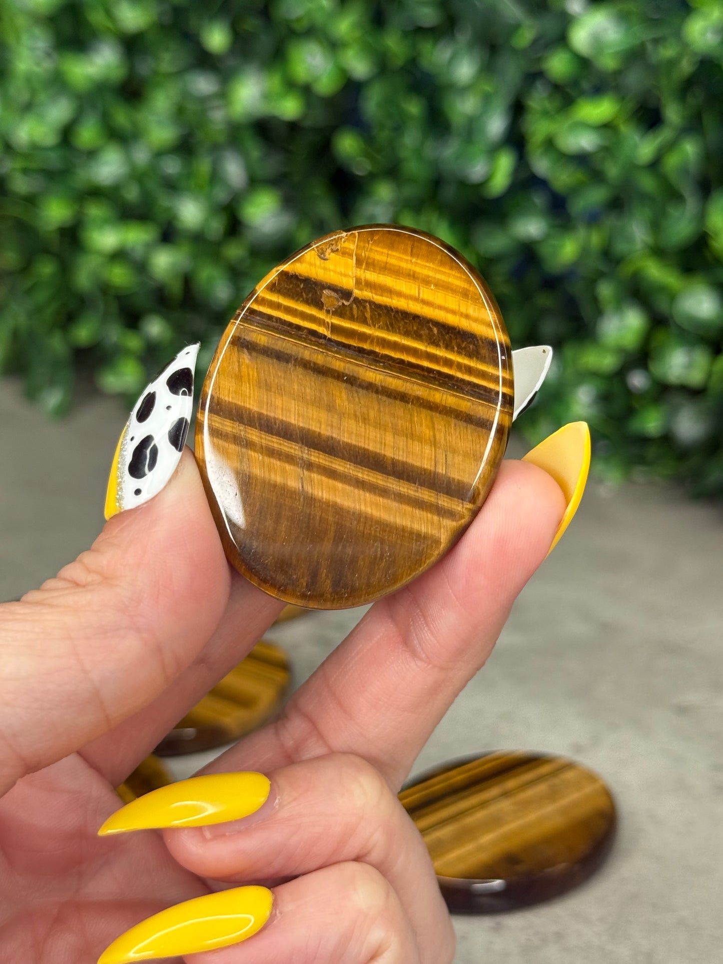 Tigers Eye Flat Palmstones