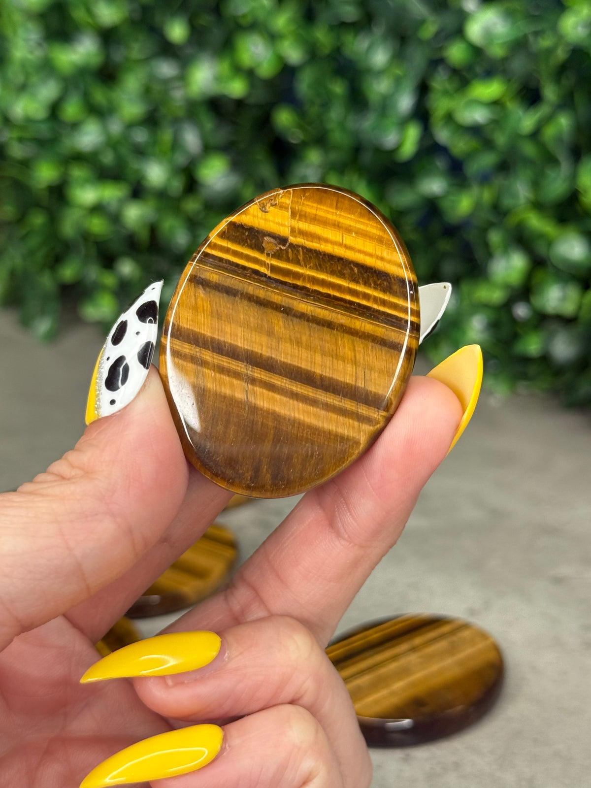 Tigers Eye Flat Palmstones