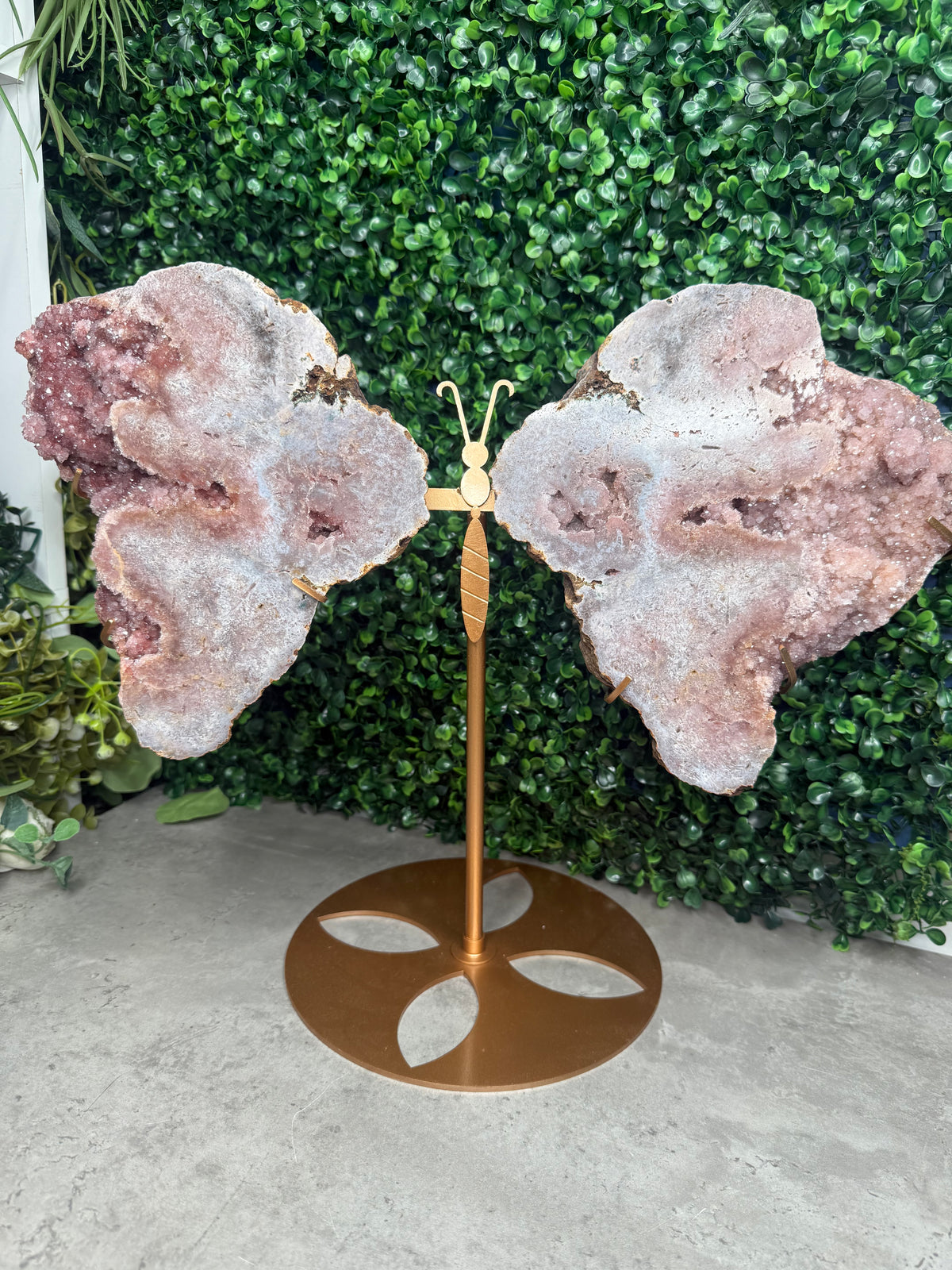 3.5kg XL Pink Amethyst Geode Butterfly Winds Crystal Carving - Brazil