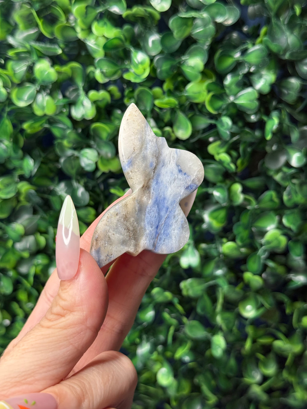 Afghanite Mini Butterfly Crystal Carvings - Pakistan