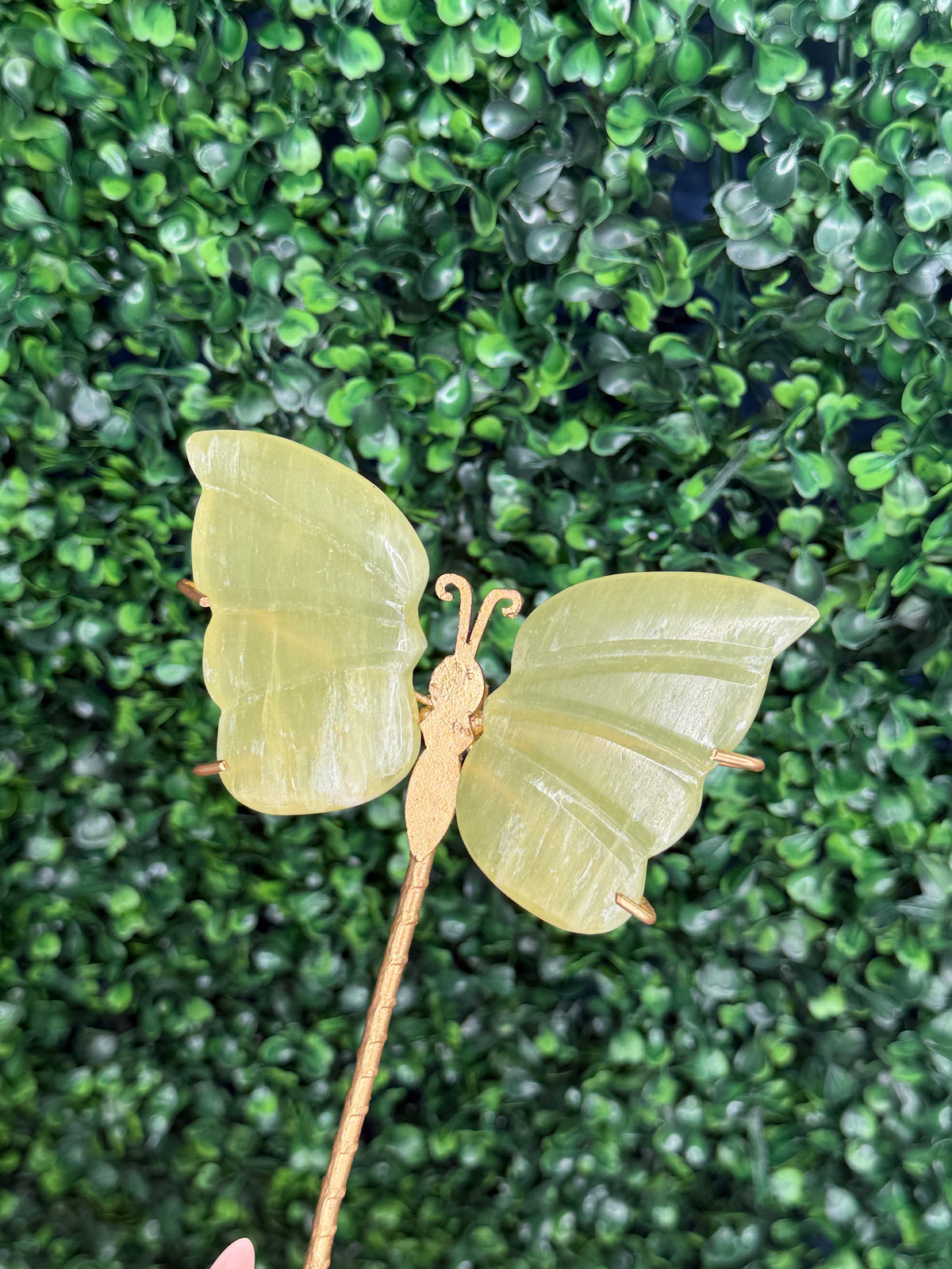 Lemon Calcite Butterfly Wings Crystal Carvings from Pakistan