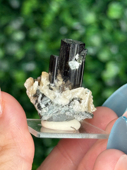 Black Tourmaline (Schorl) Specimen with Albite & Quartz — Skardu Valley, Pakistan - A