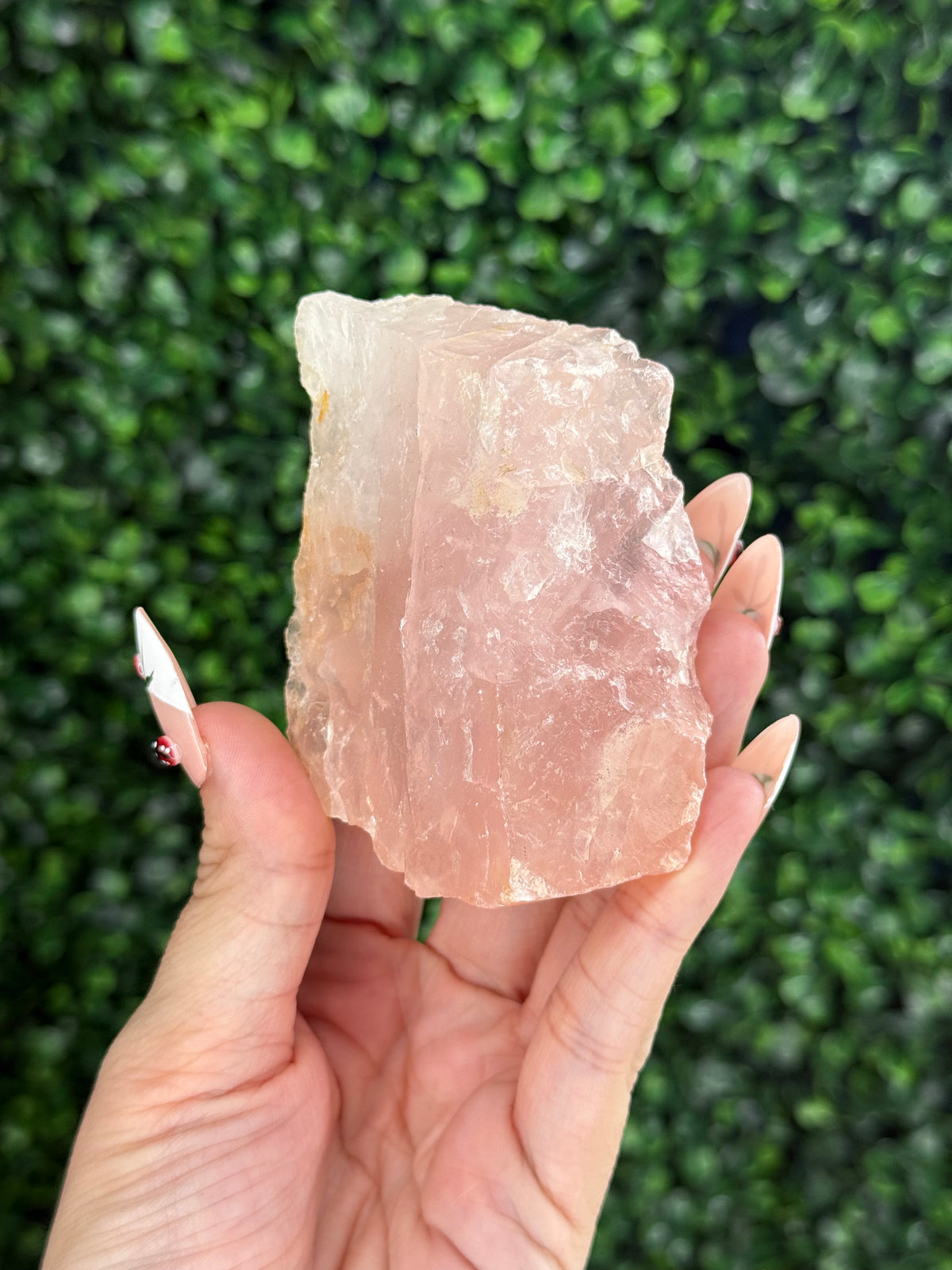 Raw Rose Quartz Crystal From Colorado USA B