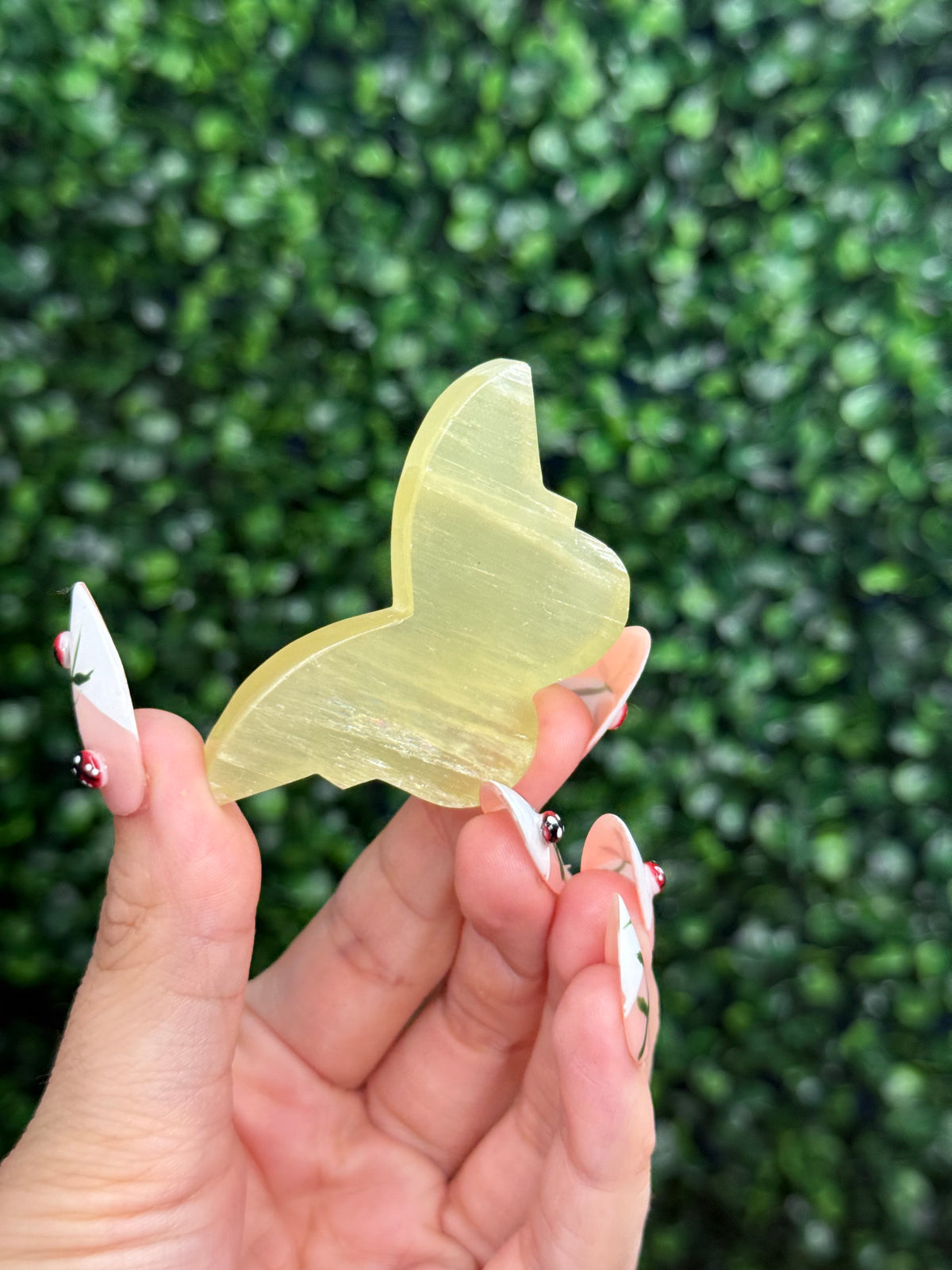 Lemon Calcite Mini Butterfly Crystal Carvings from Pakistan