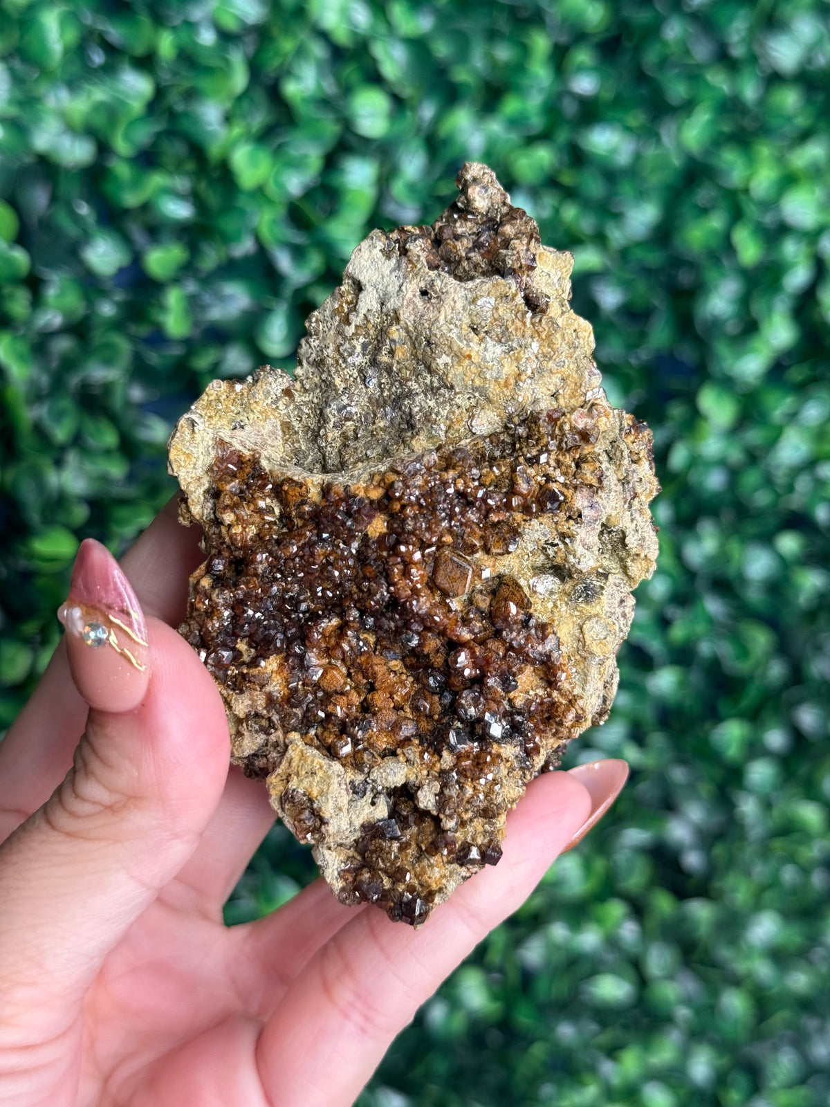 Andradite garnet from Nusa Tenggara Timur - Indonesia - B
