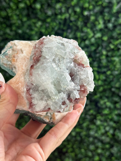 Marshy and Green Apophyllite Crystal Specimens from India
