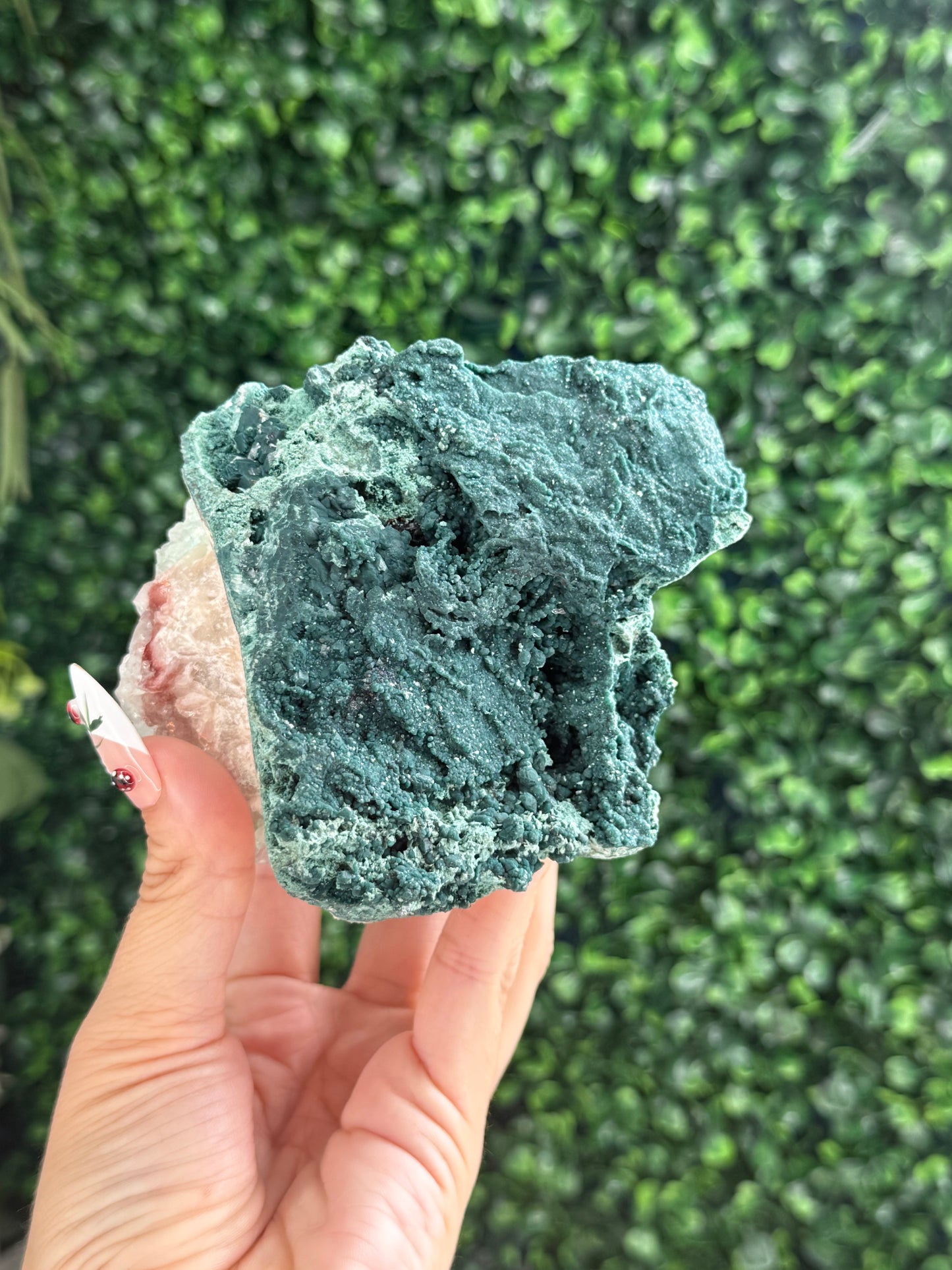Marshy and Green Apophyllite Crystal Specimens from India