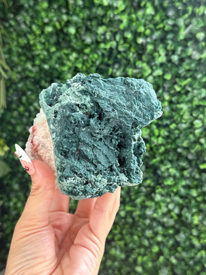 Marshy and Green Apophyllite Crystal Specimens from India