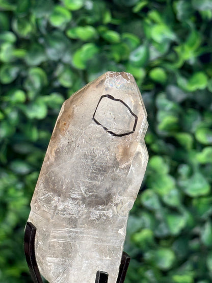 Super Visible raw Smokey Quartz Enhydro with custom stand