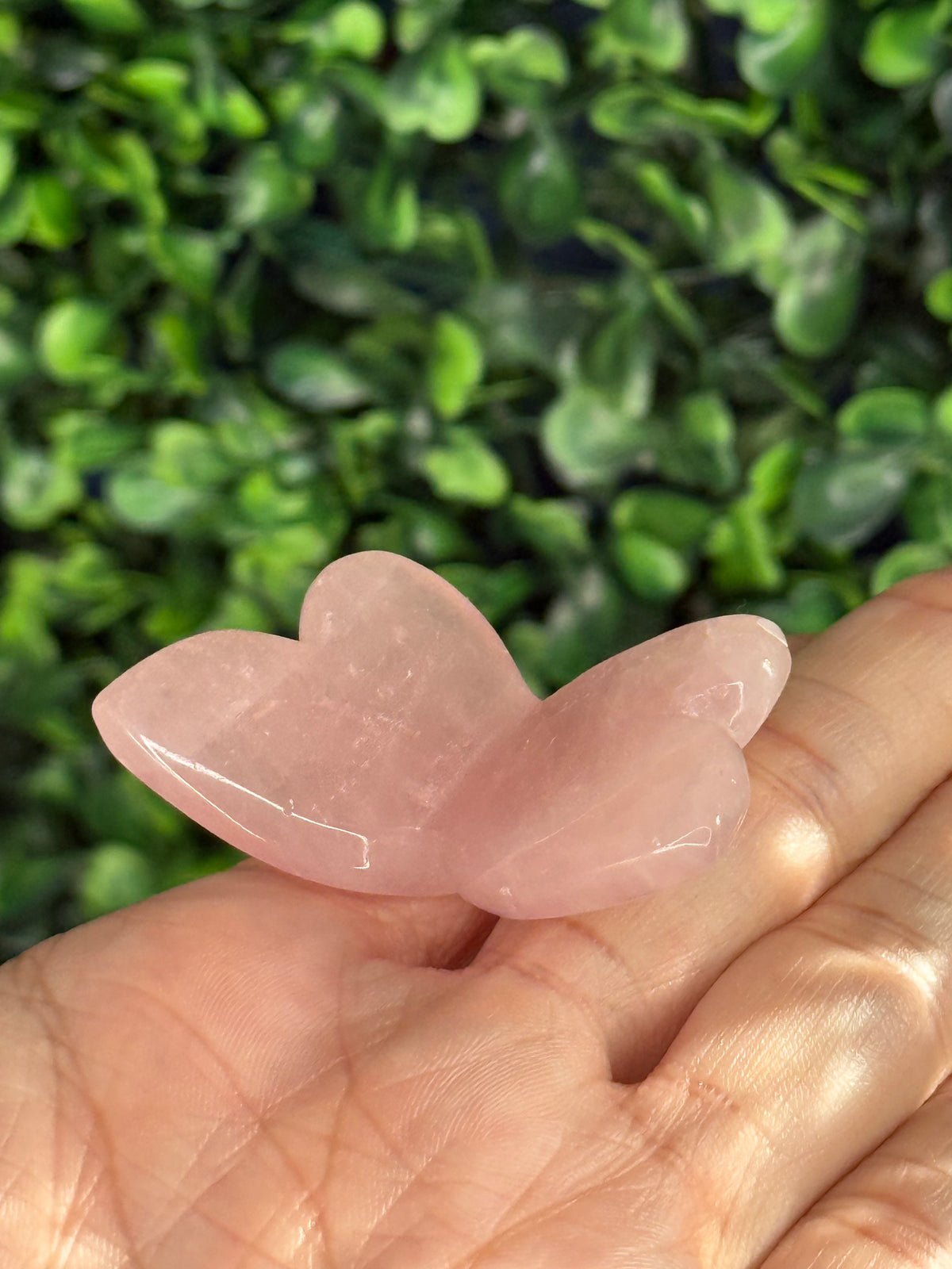 Small Rose Quartz Mini Butterfly Crystal Carvings