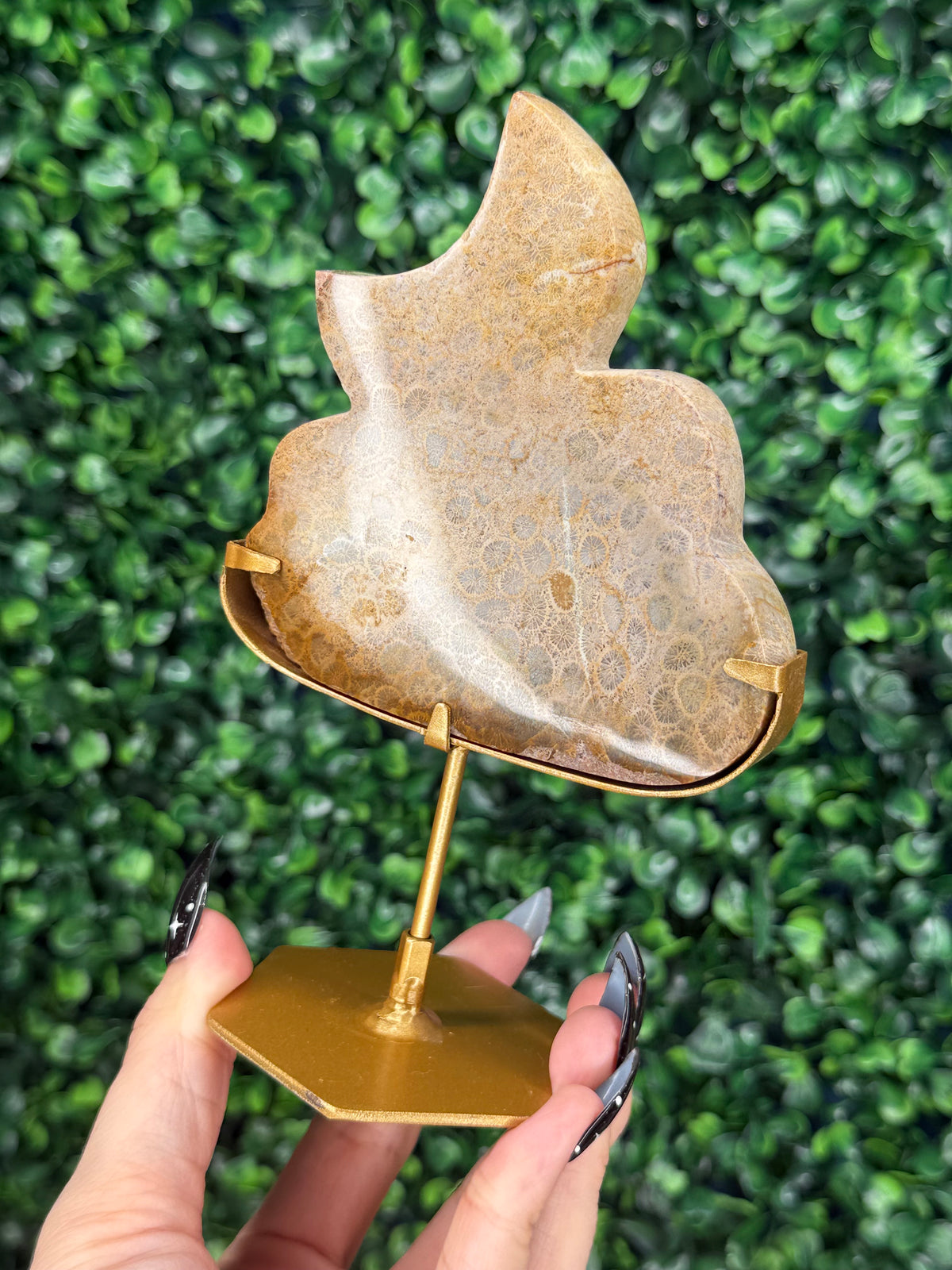 Fossil Coral Cloud & Moon Crystal Carving - A
