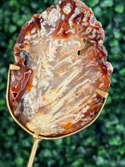 Indonesian Plume Agate slab with gold stand