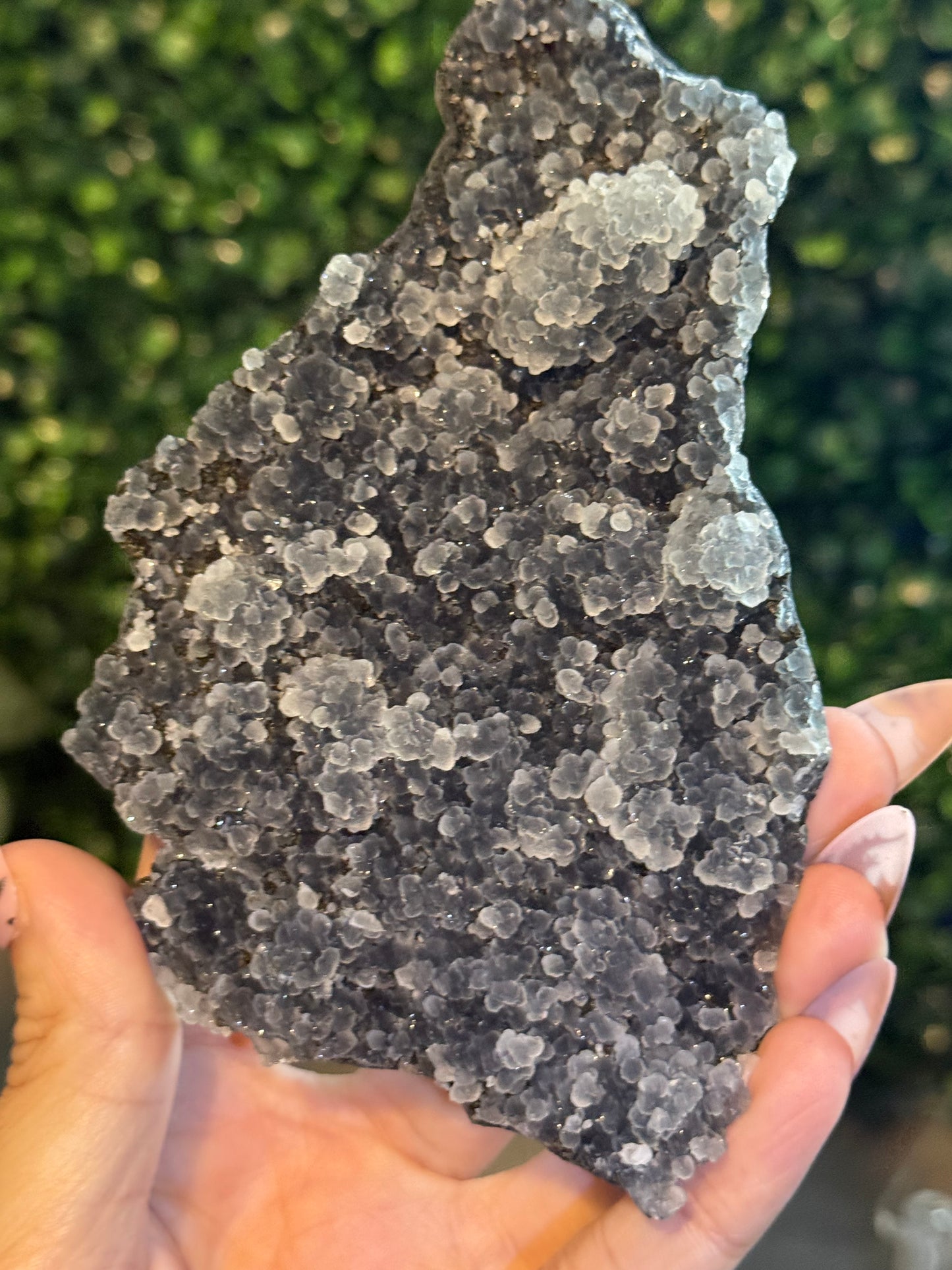 Black Chalcedony Crystal Specimen B