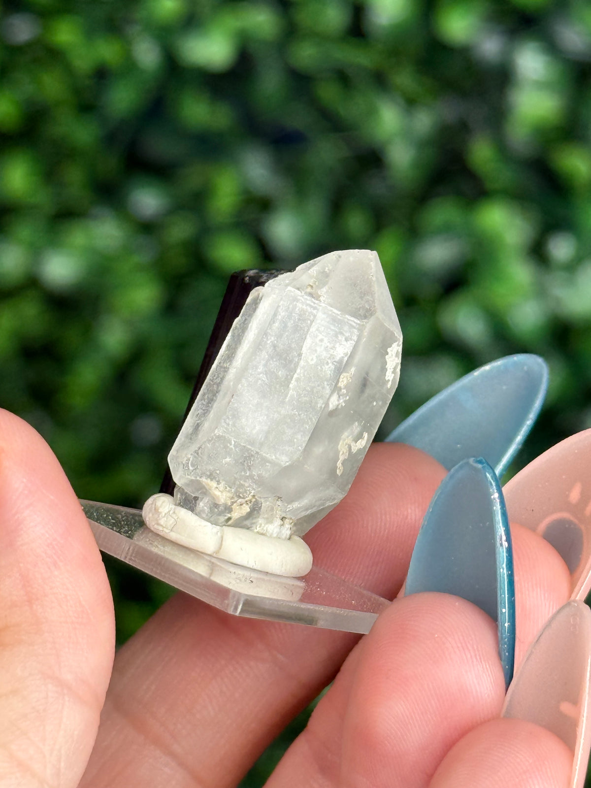 Black Tourmaline with Quartz Specimen — Skardu Valley, Pakistan J