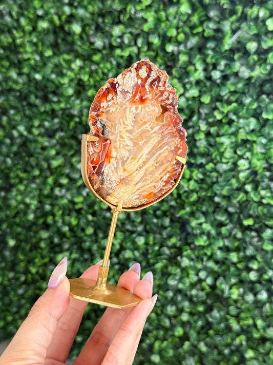 Indonesian Plume Agate slab with gold stand