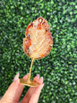 Indonesian Plume Agate slab with gold stand