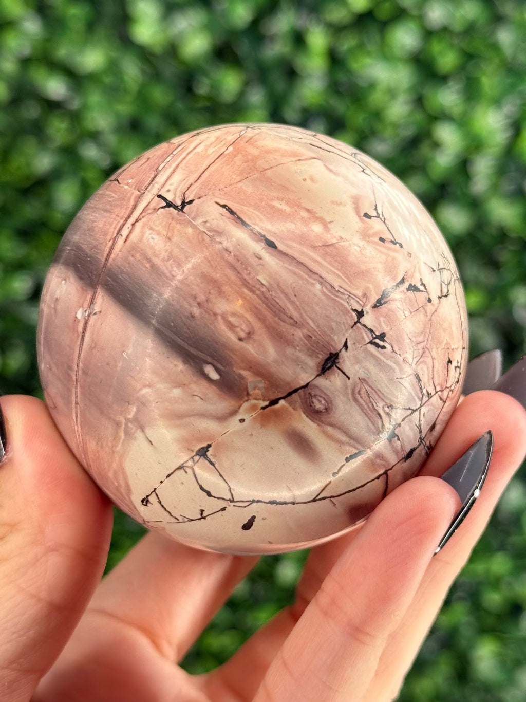Pink Picture Jasper Spheres G