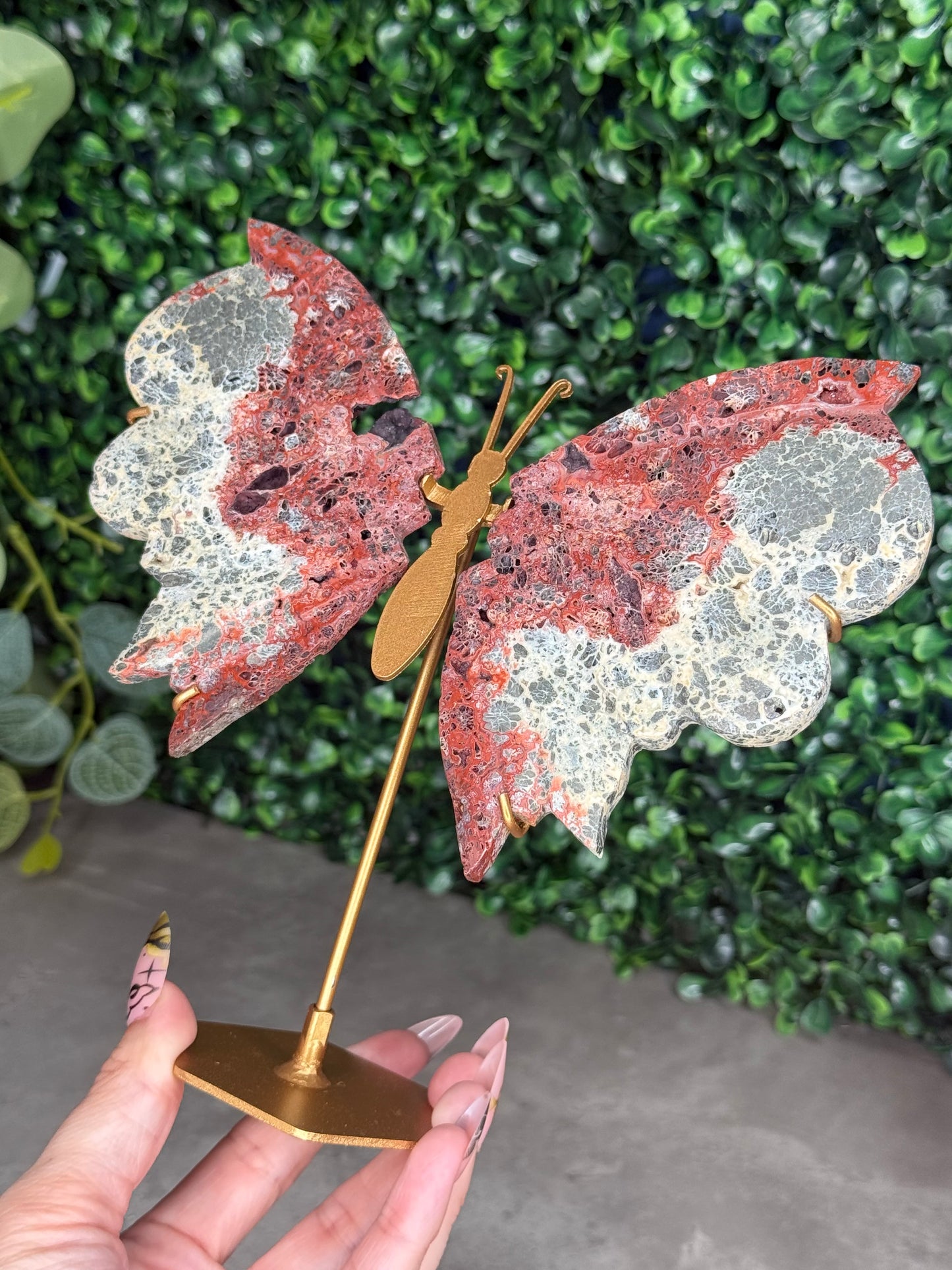 Red Marcasite Butterfly Wings
