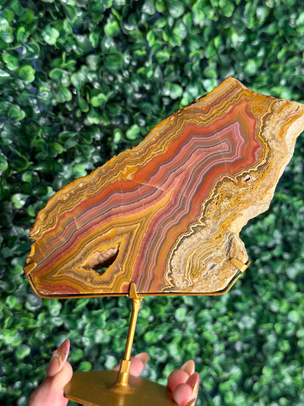 Colourful Crazy Lace Agate Slab from Indonesia - E