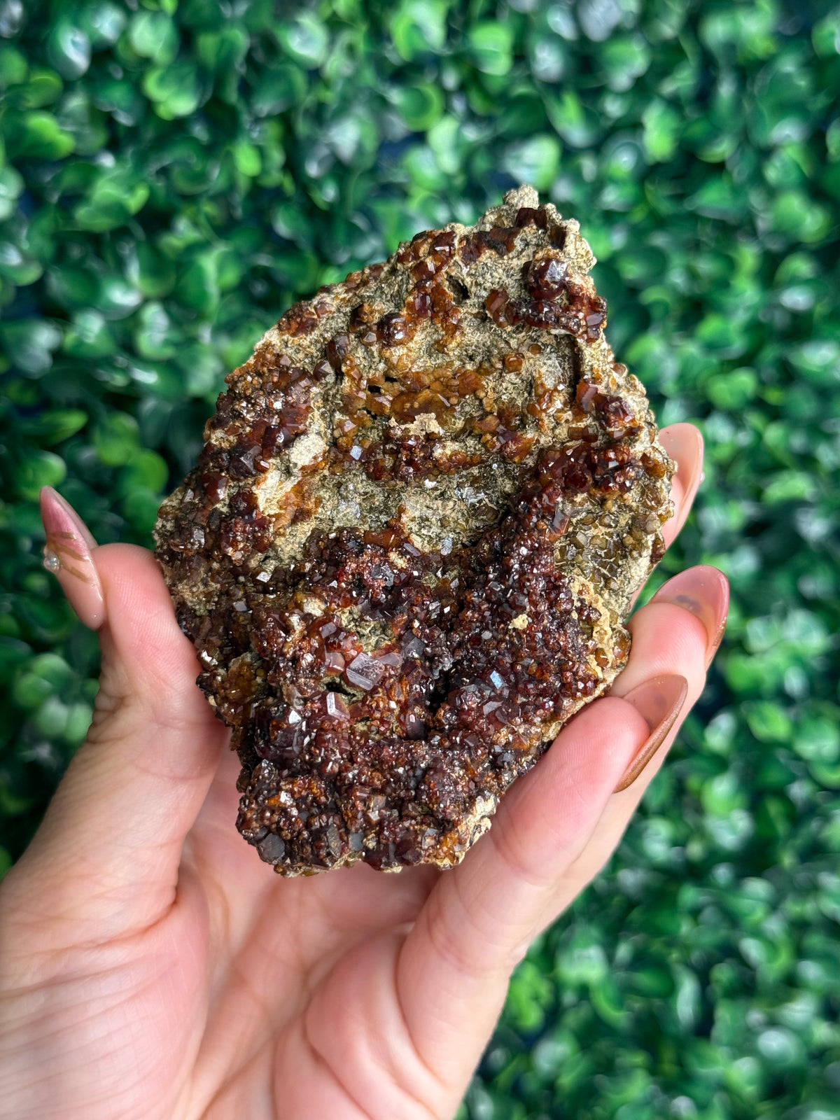 Andradite garnet from Nusa Tenggara Timur - Indonesia - A