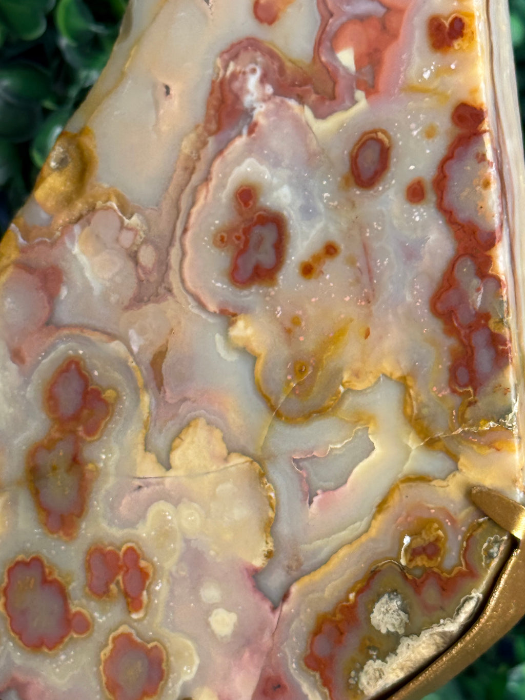 Colourful Crazy Lace Agate Slab from Indonesia A