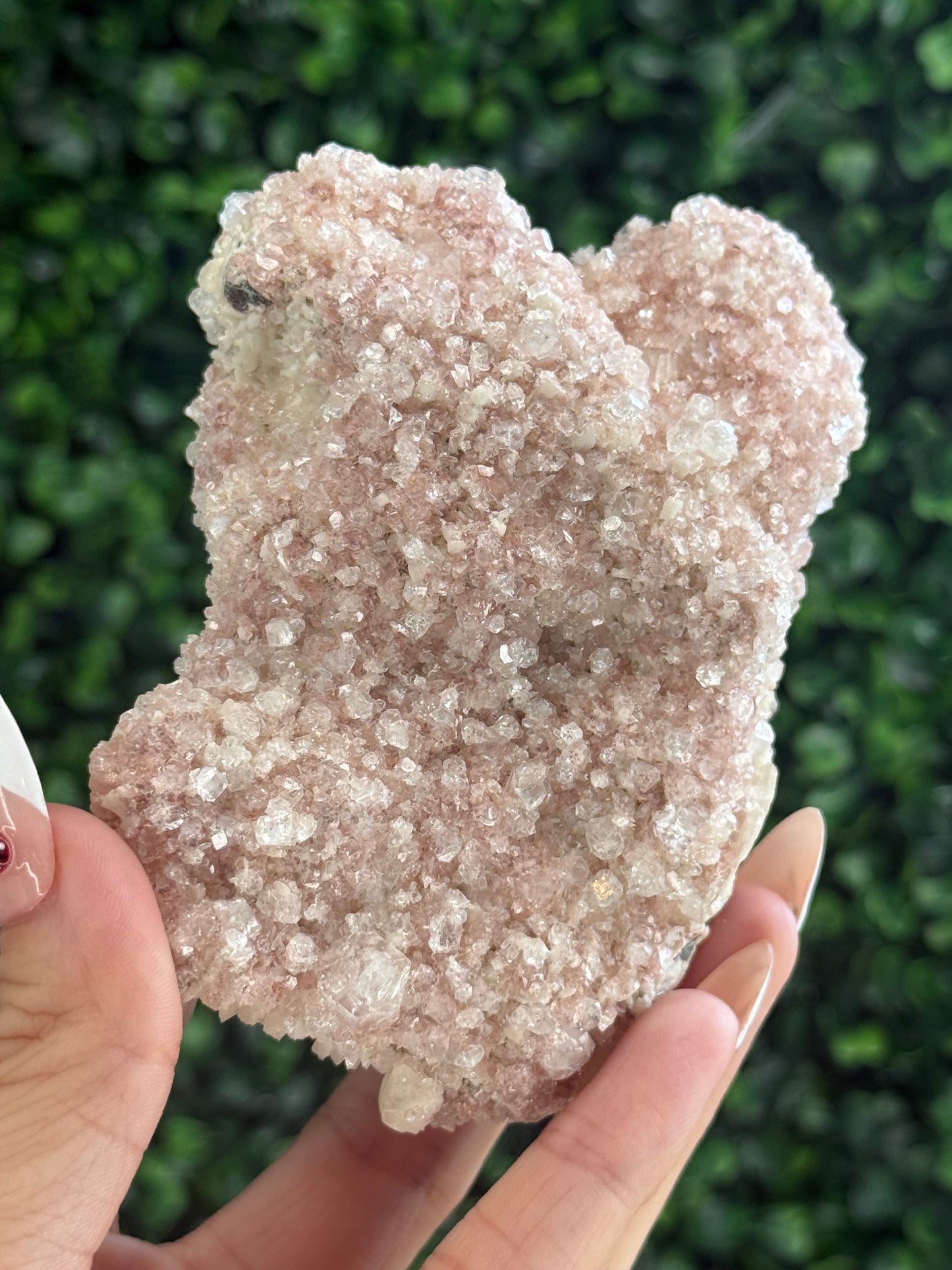Pink Apophyllite Cluster Specimen Crystal from India 260g