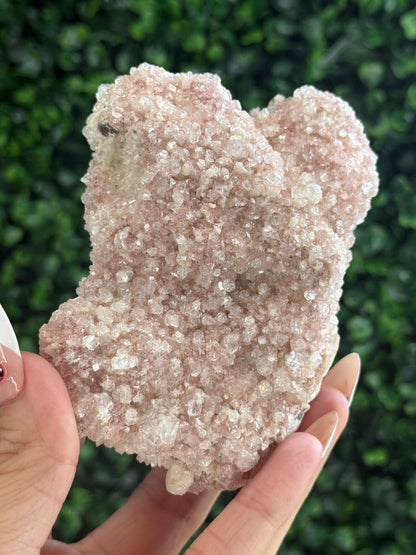 Pink Apophyllite Cluster Specimen Crystal from India 260g