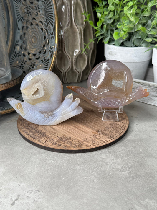 Druzy Agate Snails Crystal Carvings