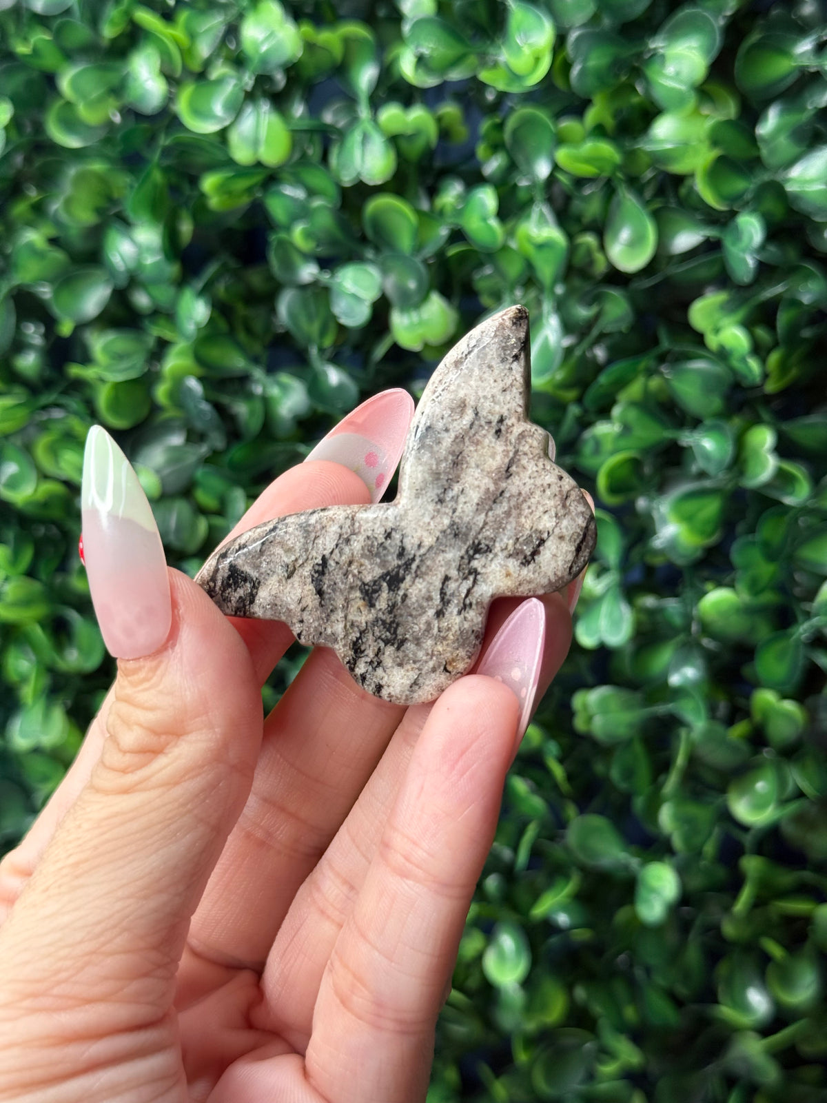 Zebra Jasper Mini Butterfly Crystal Carvings - Pakistan