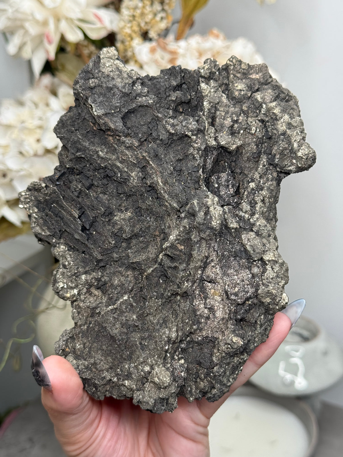 Pyritized Petrified Wood from Indonesia - A