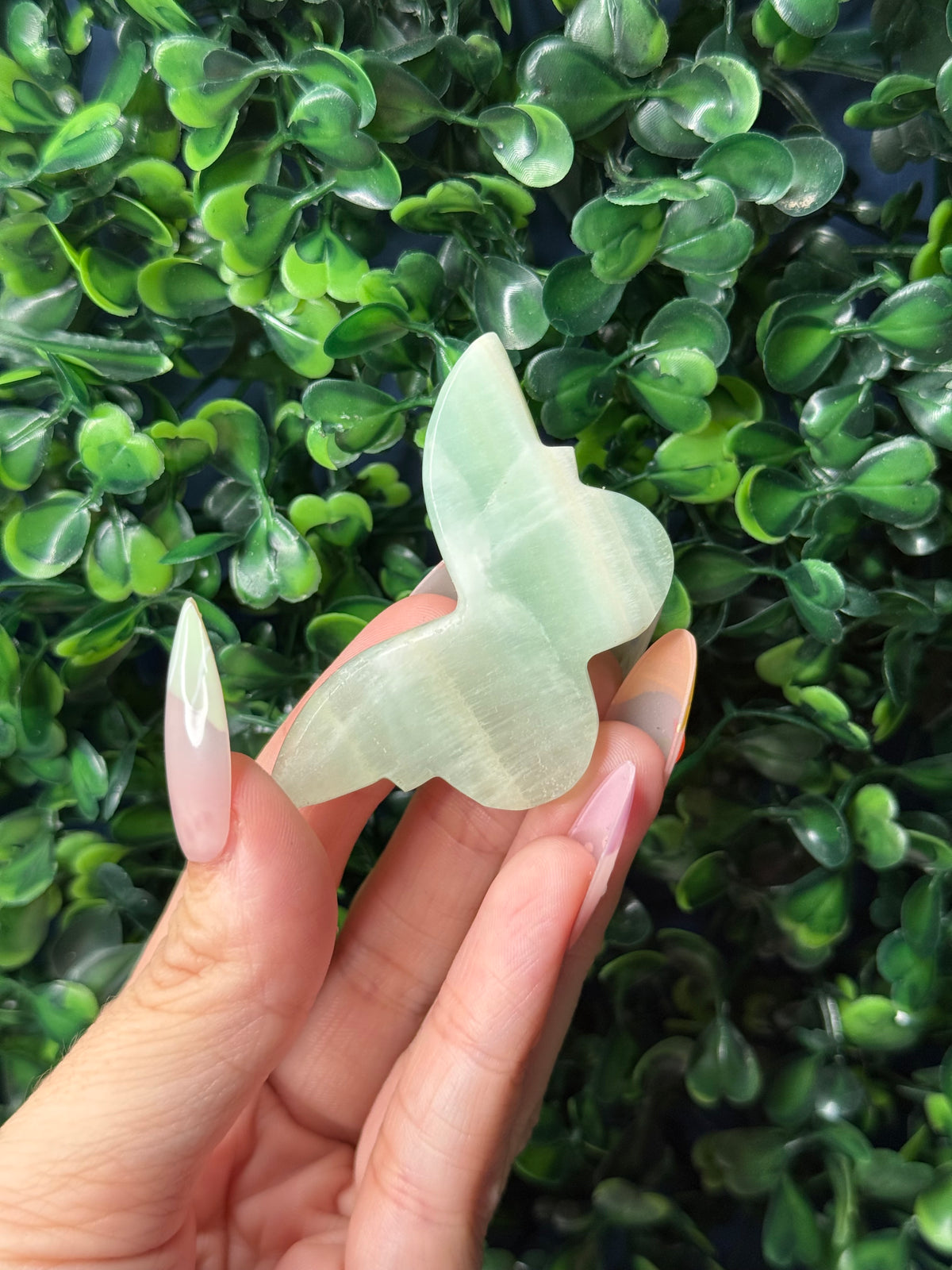 Pistachio Calcite Mini Butterfly Crystal Carvings - Pakistan