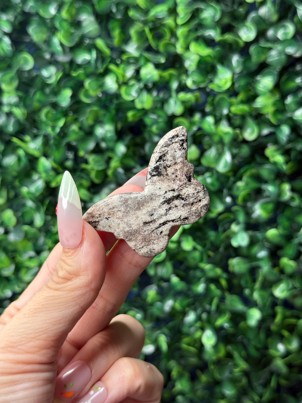Zebra Jasper Mini Butterfly Crystal Carvings - Pakistan