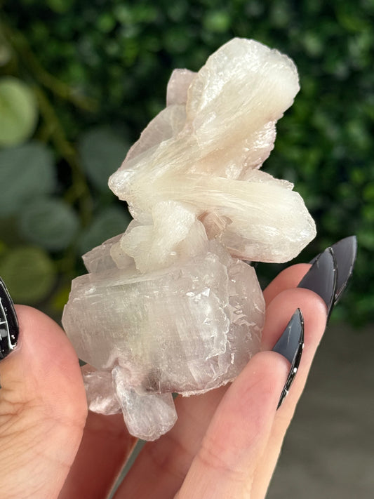 Pink & Green Apophyllite Specimens - X