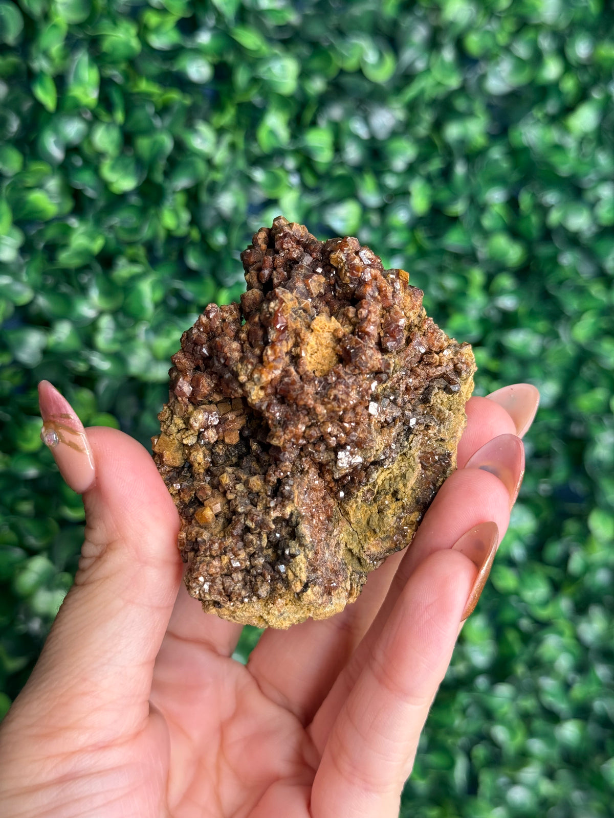 Andradite garnet from Nusa Tenggara Timur - Indonesia - C