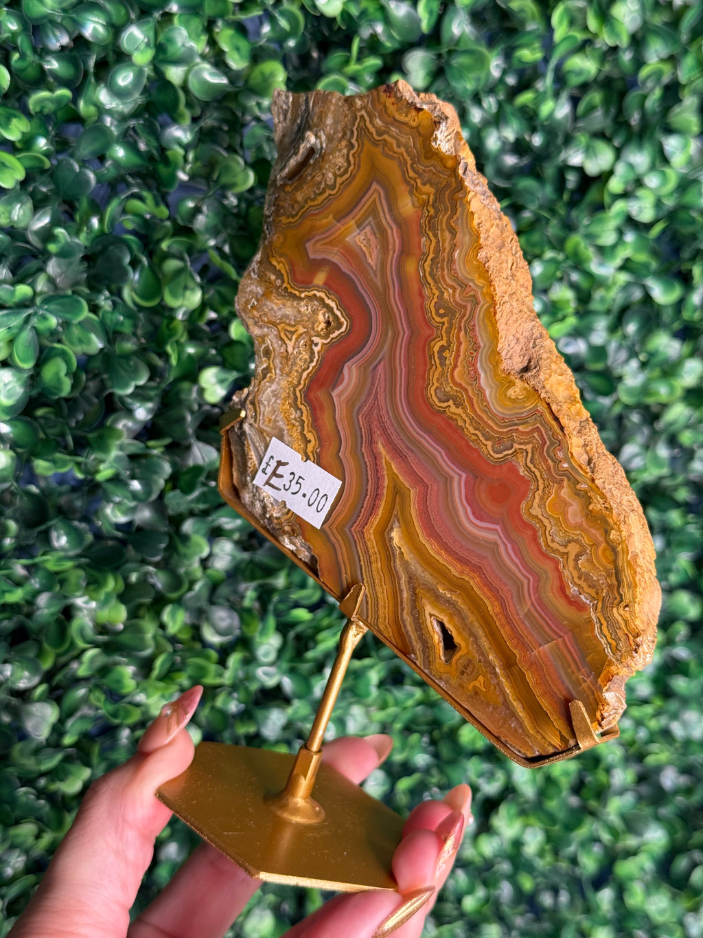 Colourful Crazy Lace Agate Slab from Indonesia - E