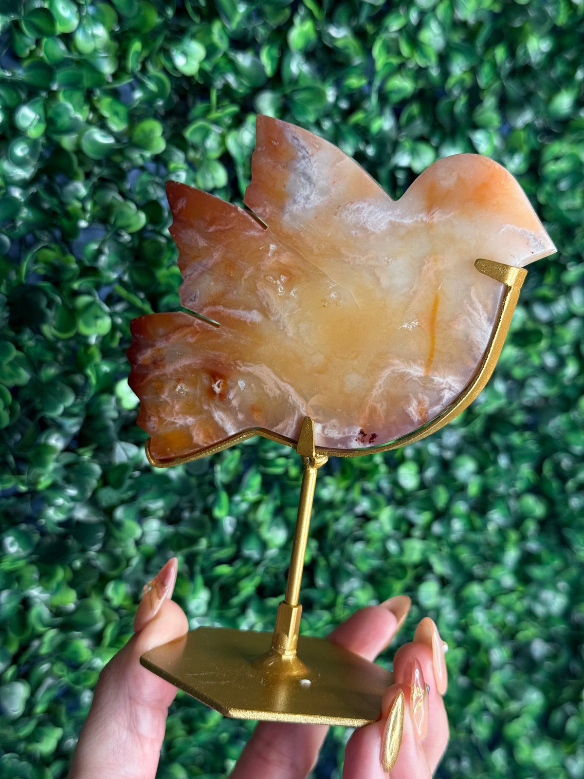 Carnelian Bird Crystal Carving from Indonesia - B