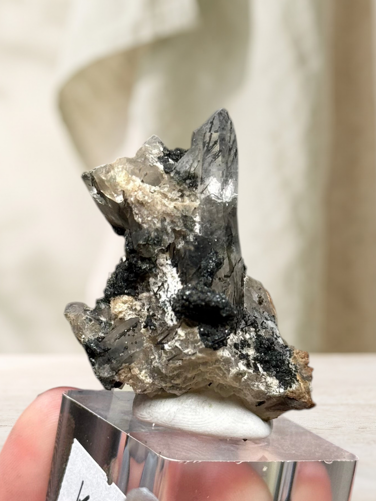 Crystal Glade laser quartz specimen from Pakistan featuring a slender tapered point and black tourmaline inclusions.