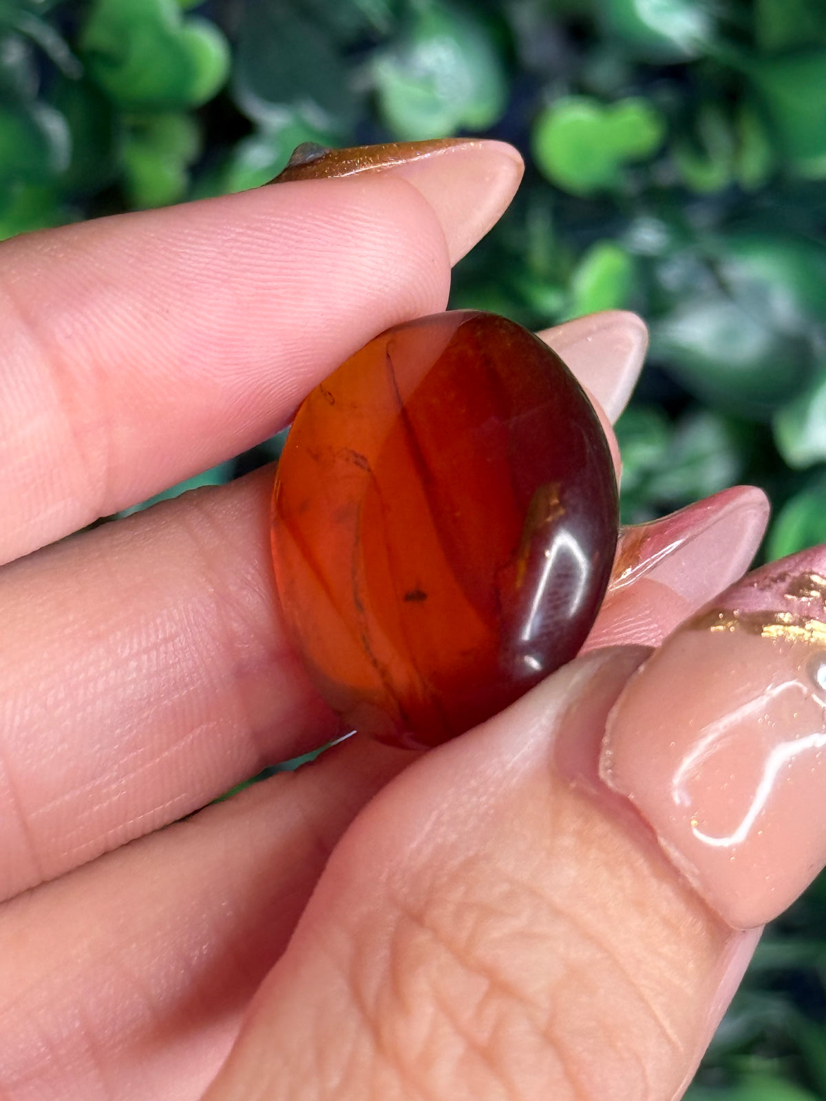 Burmese Cretaceous Amber (UV Fluorescent) with Insects and Inclusions C