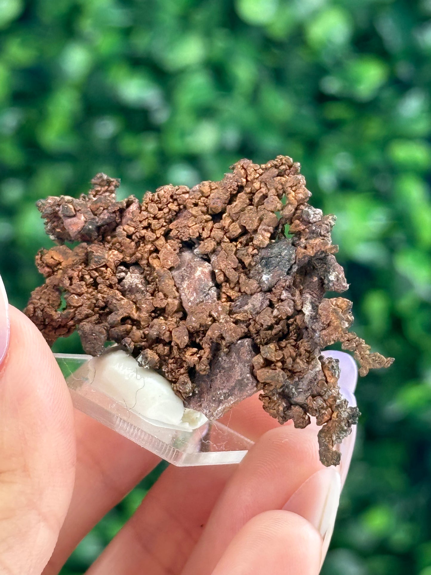 Native Copper Collection mined in the 70s Pearl Handle Pit Ray Mine AZ, US - K